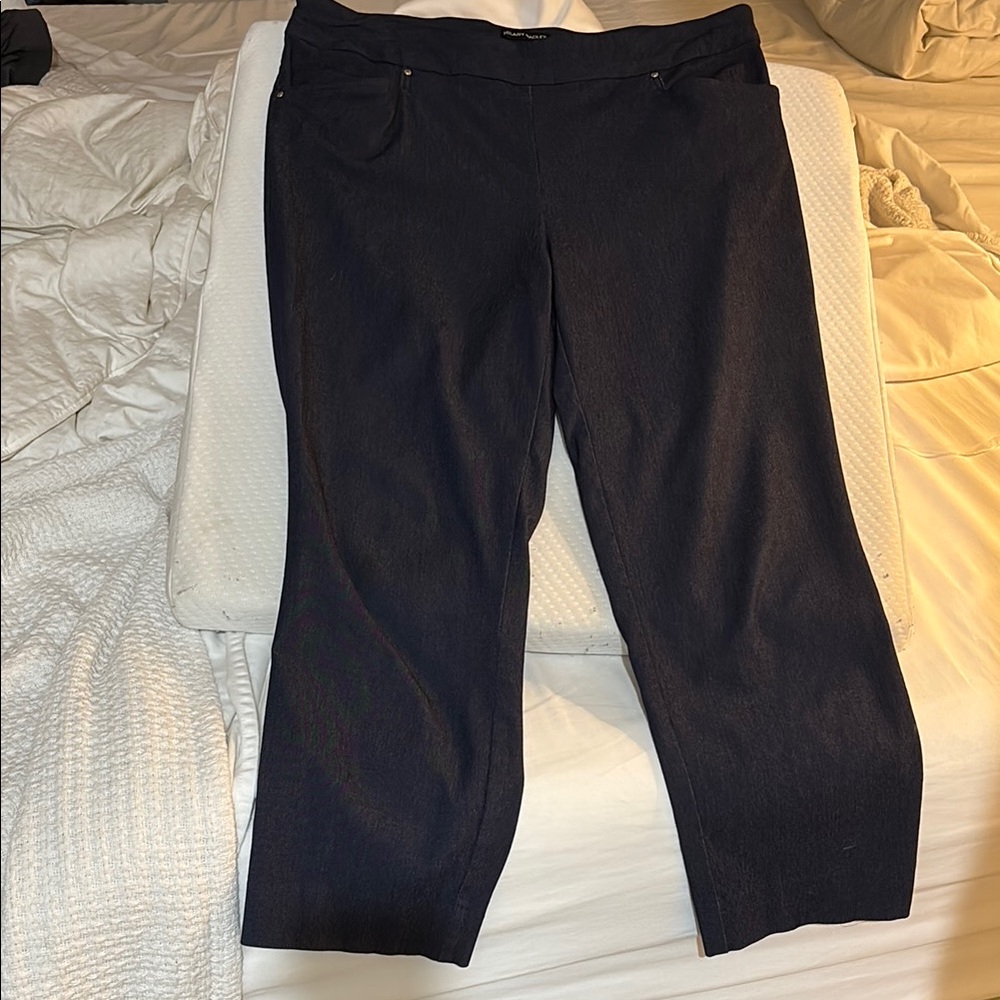 Hilary Radley Blue Pull On Ankle Length Pants XL